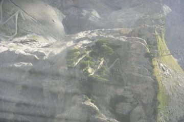 Photo 004