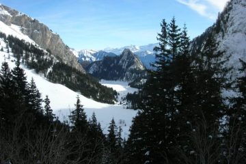 photo 099